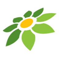 LINK PETIK77